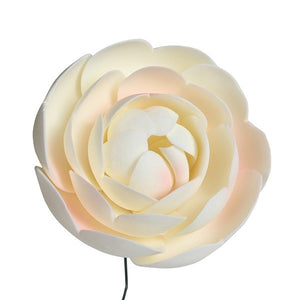 Gumpaste Ranunculus 55mm - 2pk