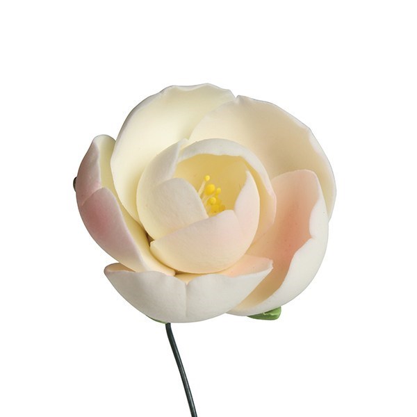 Gumpaste Ranunculus 30mm - 3pk